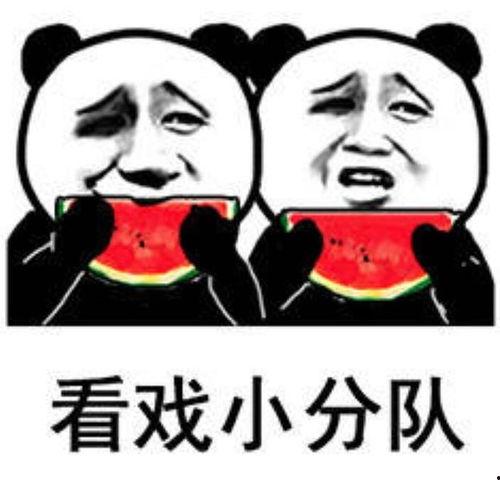 娱乐圈的瓜吃的瓜表情包,瓜表情包盘点
